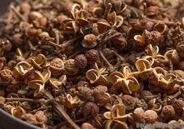 Hạt mắc kén dân tộc Thái Hat-mac-ken-dan-toc-thai.jpg (14 KB)