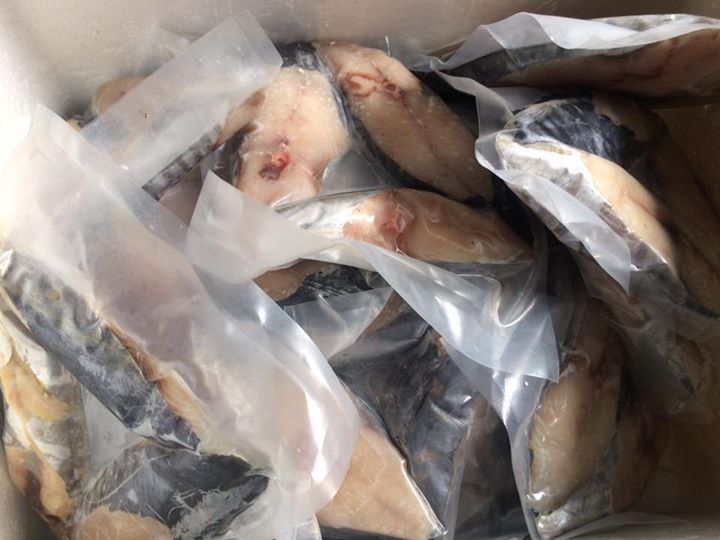 ca-thu-mot-nang-loai-1.jpg (54 KB)