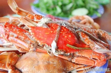 Ghẹ sông cầu ghe-song-cau.jpg (45 KB)