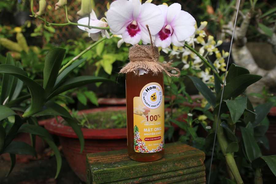 Mật ong hoa cao nguyên mat-ong-hoa-cao-nguyen.jpg (259 KB)