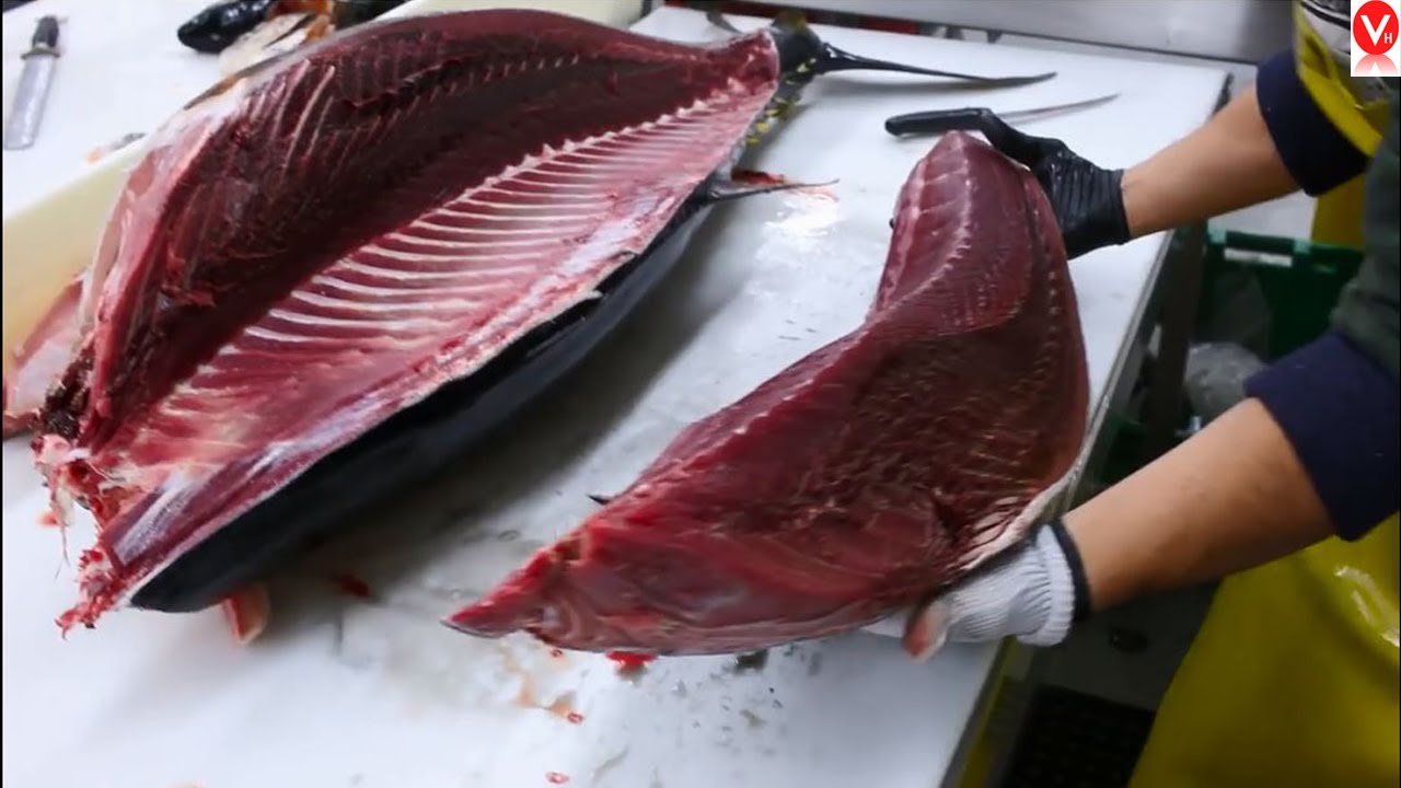 maxresdefault.jpg (105 KB)