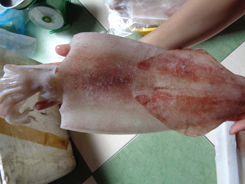 Mực một nắng chất lượng muc-1-nang-chat-luong.jpg (173 KB)