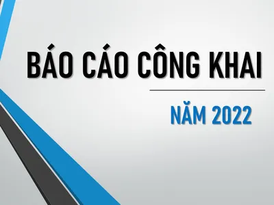 BÁO CÁO CÔNG KHAI NĂM 2022 BÁO CÁO CÔNG KHAI NĂM 2022