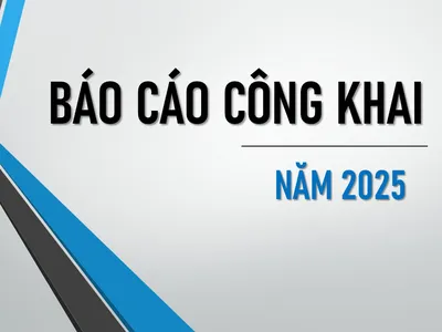 BÁO CÁO CÔNG KHAI NĂM 2025 BÁO CÁO CÔNG KHAI NĂM 2025