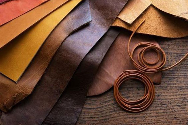 bán da bò Hà Nội