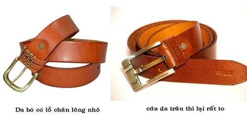 cách phân biệt da trâu da bò cách phân biệt da trâu da bò