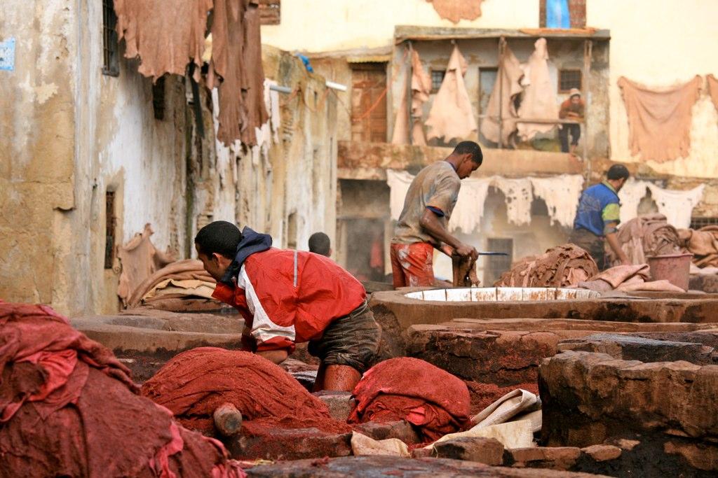 Cách thuộc da dê cơ bản Cách thuộc da dê cơ bản