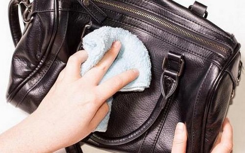 Cách khắc phục các sản phẩm da bò bị mốc Cách khắc phục các sản phẩm da bò bị mốc