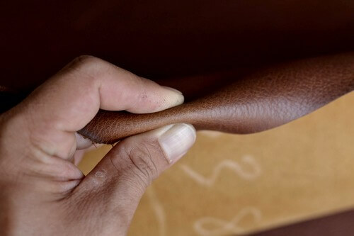 da bò thuộc là gì