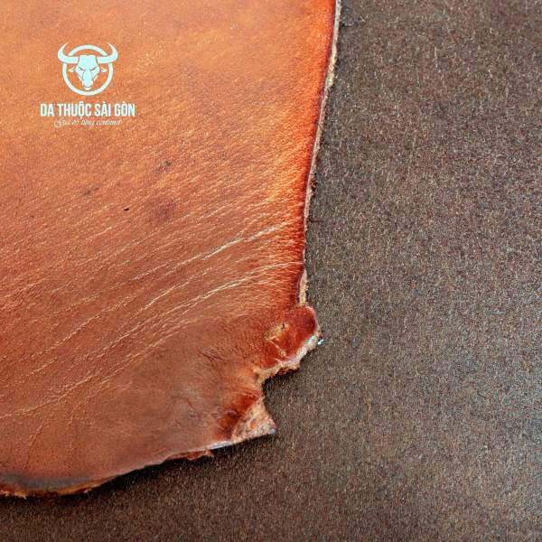 da thuộc mua ở đâu