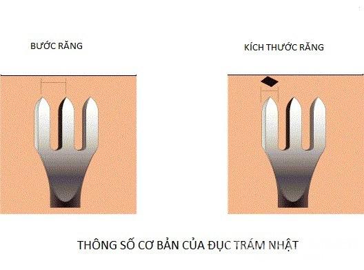đục trám da