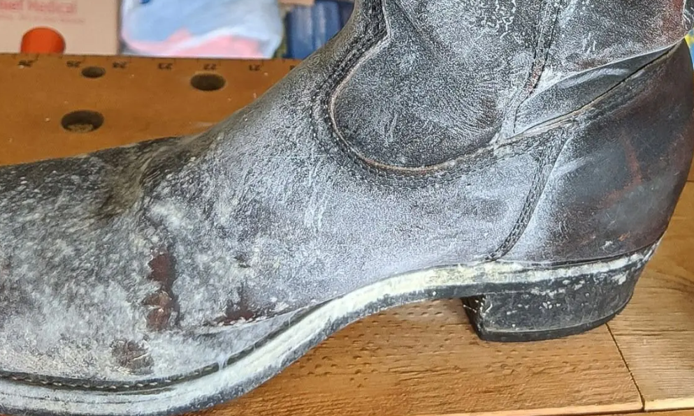 giày bị mốc xanh