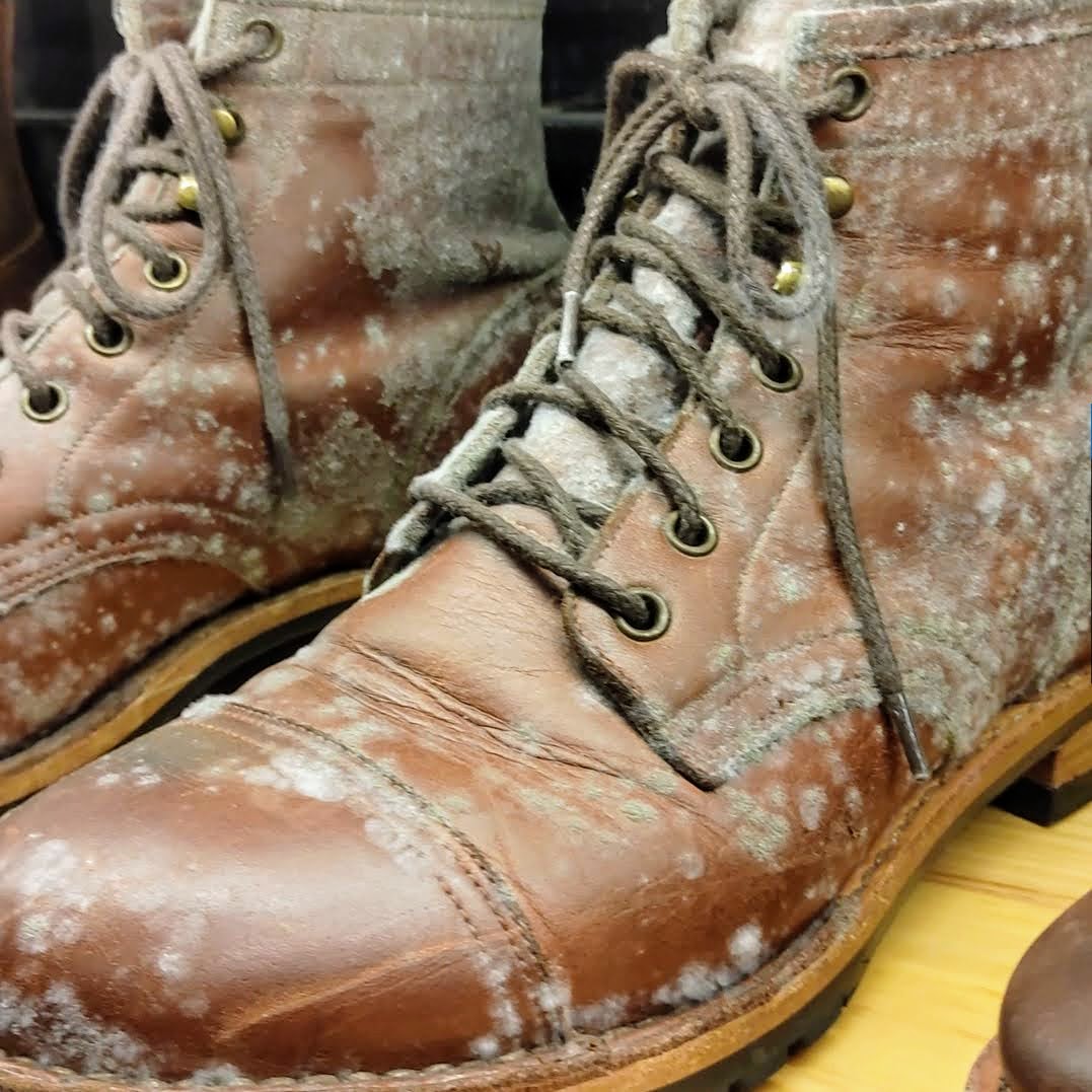 giày bị mốc xanh