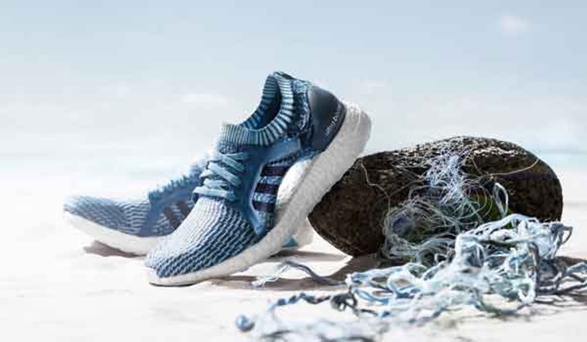 giày nhung bị mốc