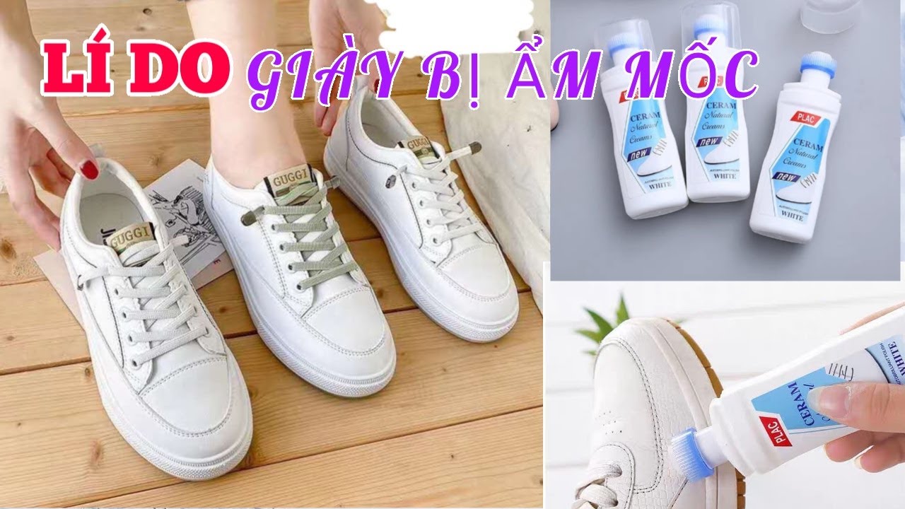 giày trắng bị mốc phải làm sao