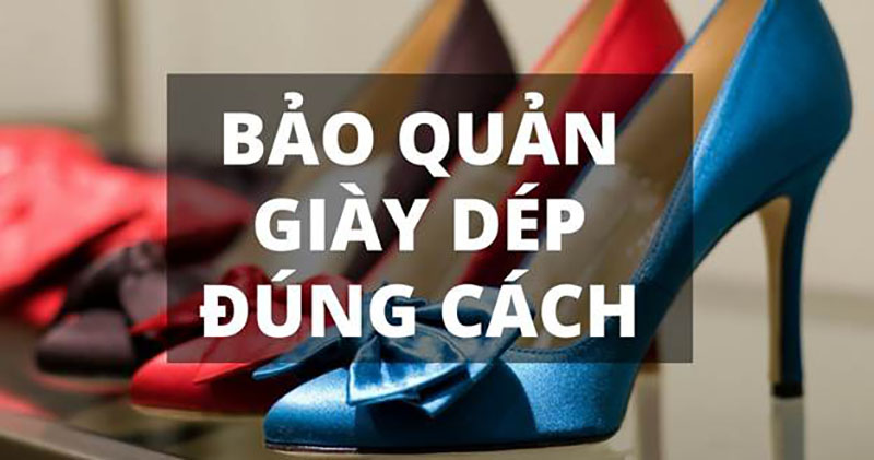 giày vải bị mốc