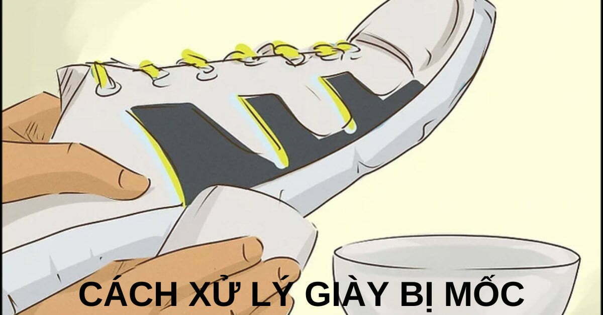 giày vải bị mốc