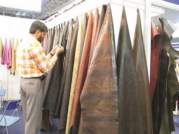 bán da bò nhập khẩu