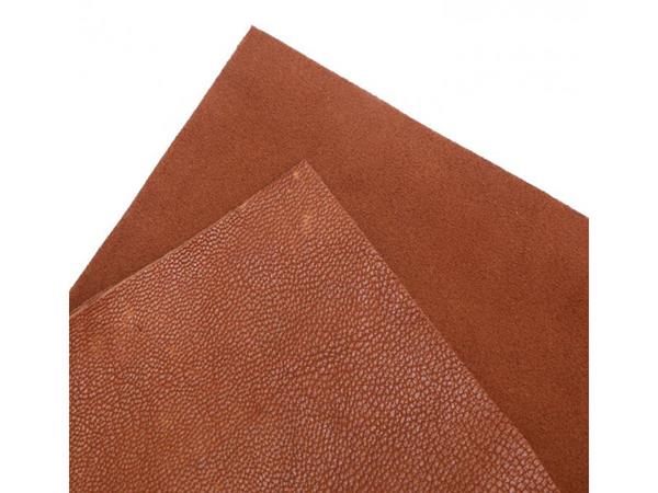 Kết quả hình ảnh cho da cừu lau lens