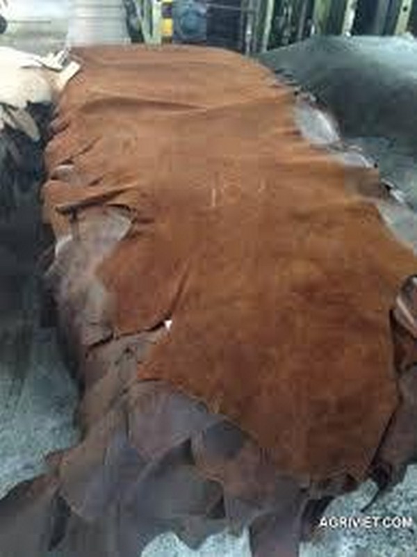 địa chỉ bán da bò italia