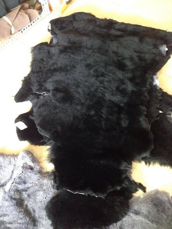 Mua Da Cừu Ở Đâu chất lượng tốt đáng tin cậy?