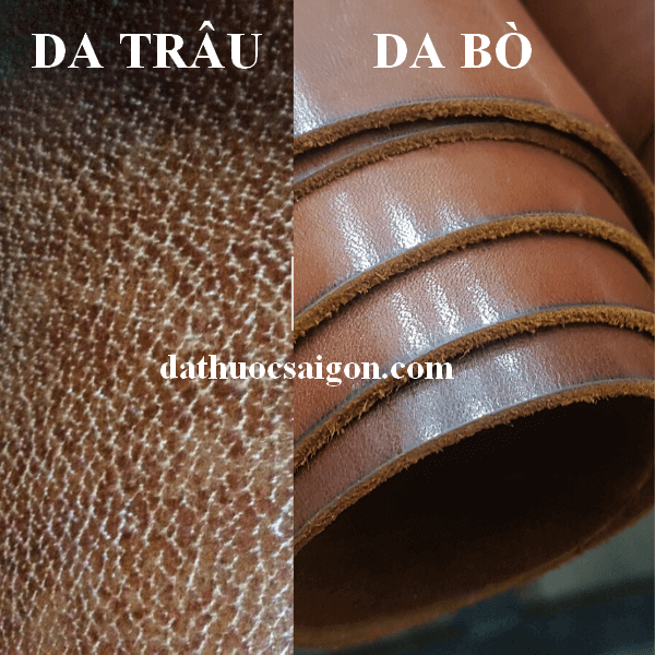 mua bán da trâu bò