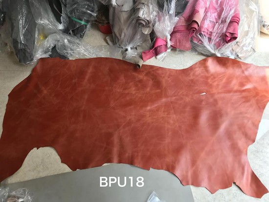 Nơi Mua Da Bò Quận Tân Bình Chất Lượng Nhất Nơi Mua Da Bò Quận Tân Bình Chất Lượng Nhất