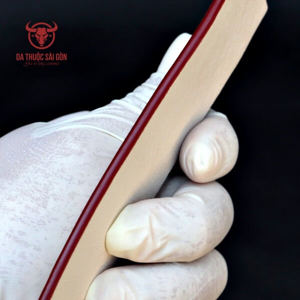 mua sơn cạnh da ở đâu