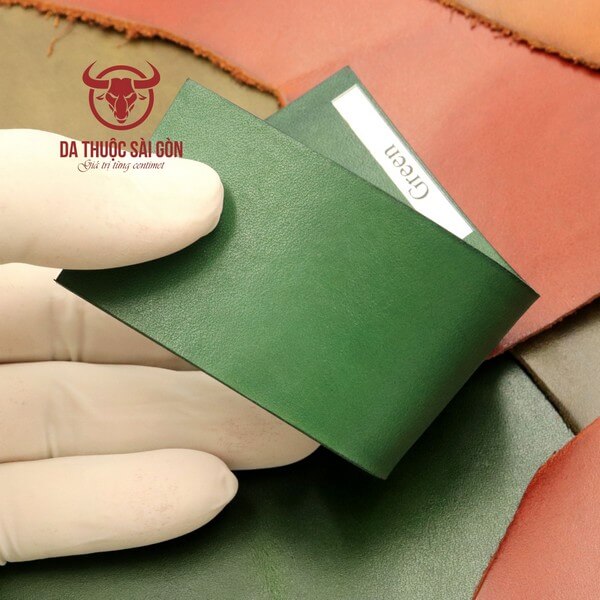 nhuộm màu túi da