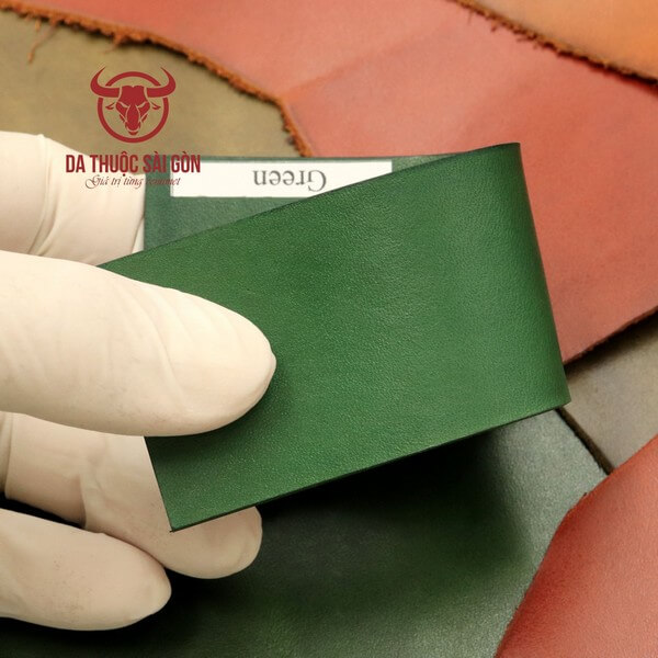 nhuộm màu túi da