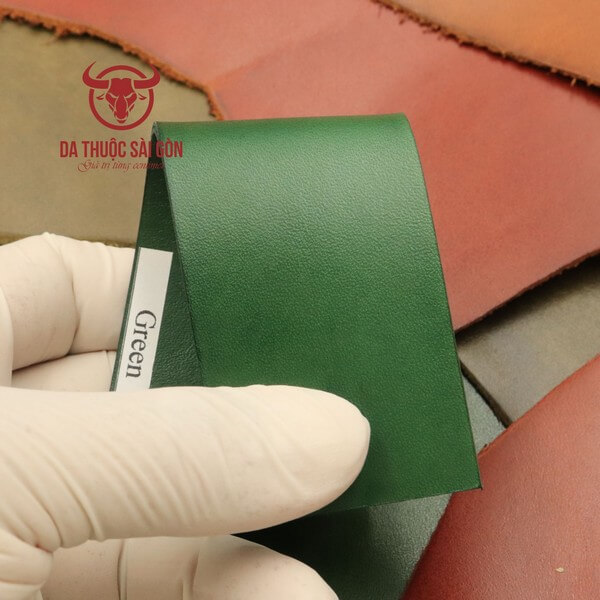 nhuộm màu túi da