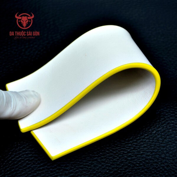 sơn cạnh đồ da