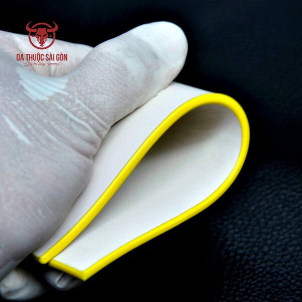 sơn cạnh đồ da