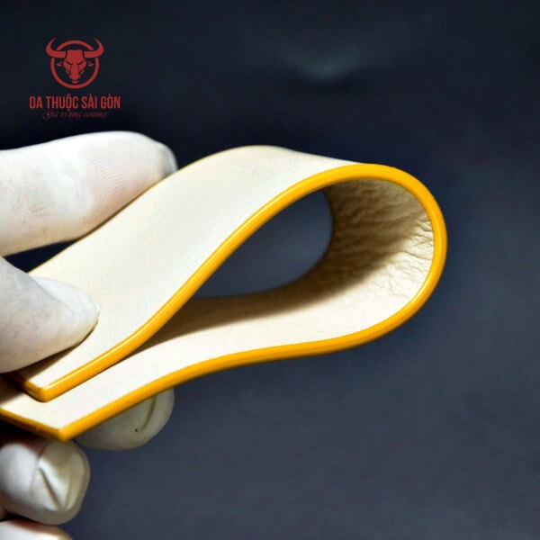 sơn cạnh túi xách