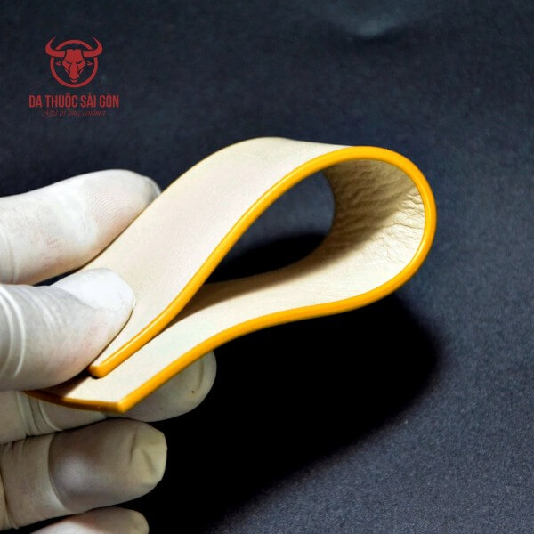 sơn cạnh túi xách