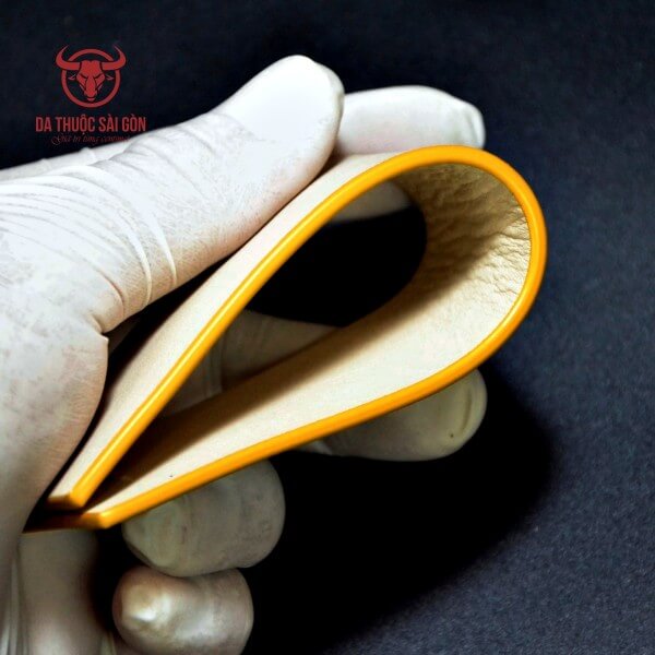 sơn cạnh túi xách