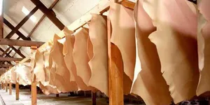 Bán da bò nguyên tấm HCM chất lượng