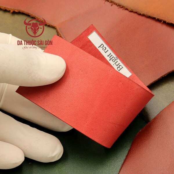 thuốc nhuộm da giày