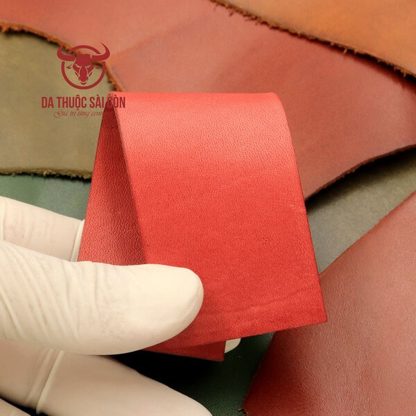 thuốc nhuộm giày da