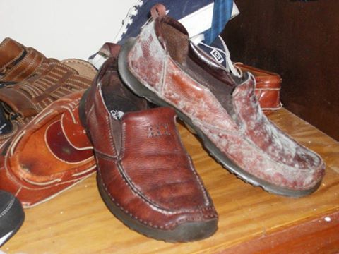 Bí Quyết Để Vệ Sinh Giày Da Bị Mốc Nhanh Và Hiệu Quả Nhất Bí Quyết Để Vệ Sinh Giày Da Bị Mốc Nhanh Và Hiệu Quả Nhất