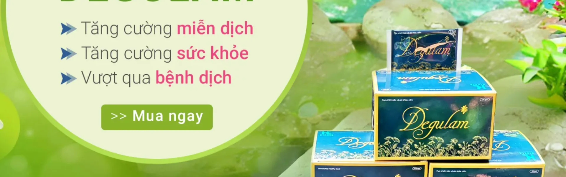 DEGULAM tăng đề kháng , trị sốt xuất huyết