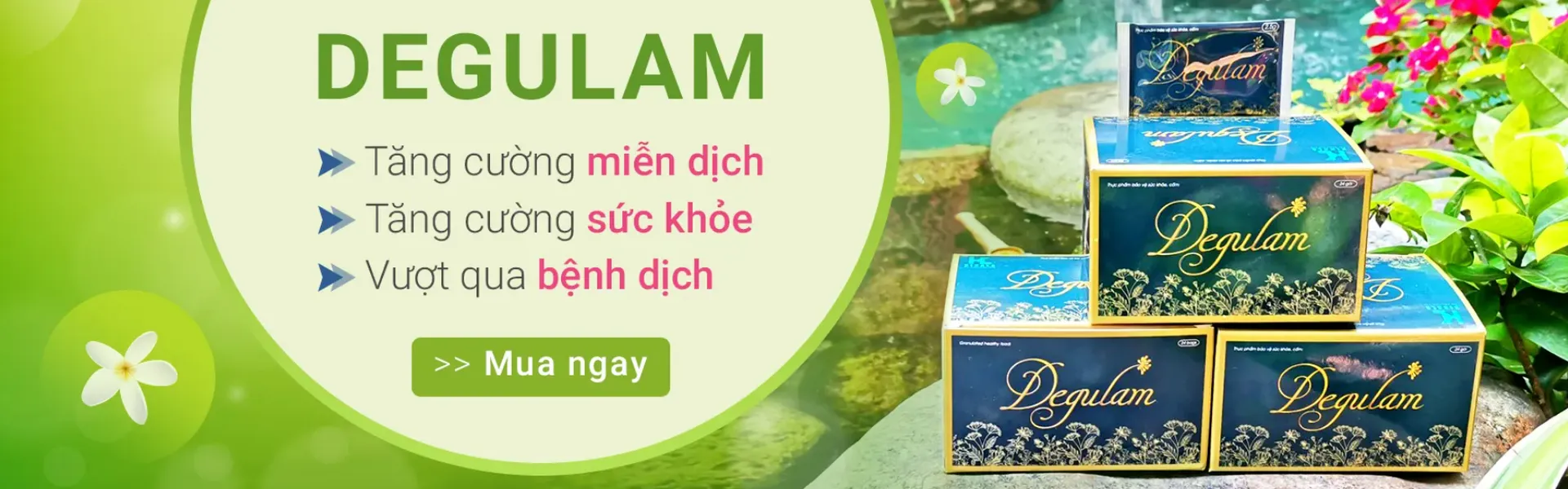 DEGULAM tăng đề kháng , trị sốt xuất huyết