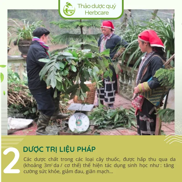 Nước Tắm Thảo dược Sau Sinh Của Người Dao Đỏ TAMMAMASS 250ML