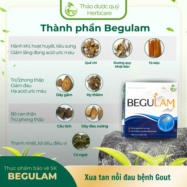 Begulam - hỗ trợ giảm acid uric máu, giảm sưng đau khớp do Gout