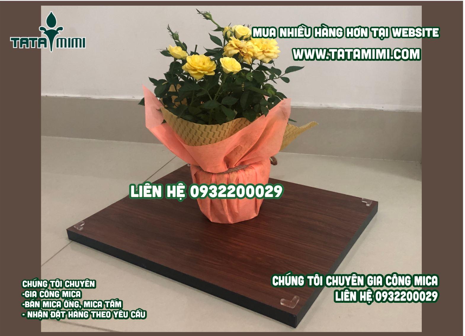 Hộp bằng mica và đế gỗ