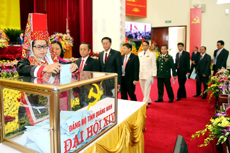 Thùng mica bo nhôm dung cho các cuộc bỏ phiếu