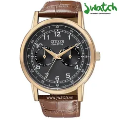 ĐỒNG HỒ CITIZEN ECO-DRIVE AO9003-08E DÂY DA