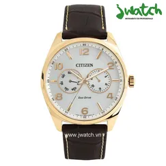 ĐỒNG HỒ CITIZEN ECO-DRIVE AO9024-08A DÂY DA