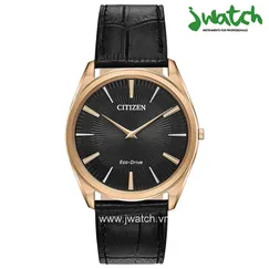 ĐỒNG HỒ CITIZEN ECO-DRIVE AR3073-06E DÂY DA
