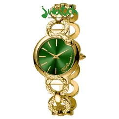 ĐỒNG HỒ NỮ JUST CAVALLI ANIMAL QUARTZ  JC1L059M0045 DÂY KIM LOẠI